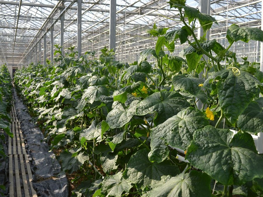 Mit Herz, Hand und Haltung Mit Herz, Hand und Haltung