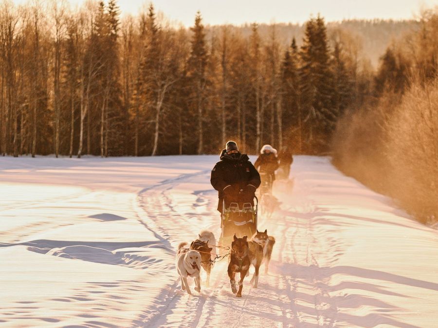 Jung, dynamisch, enthusiastisch Jung, dynamisch, enthusiastisch