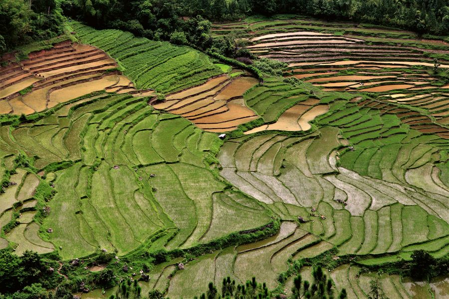 Zwei Marken, ein Anspruch – Genuss, der überzeugt Zwei Marken, ein Anspruch – Genuss, der überzeugt