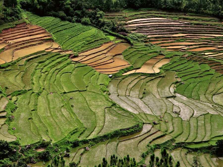 Zwei Marken, ein Anspruch – Genuss, der überzeugt Zwei Marken, ein Anspruch – Genuss, der überzeugt