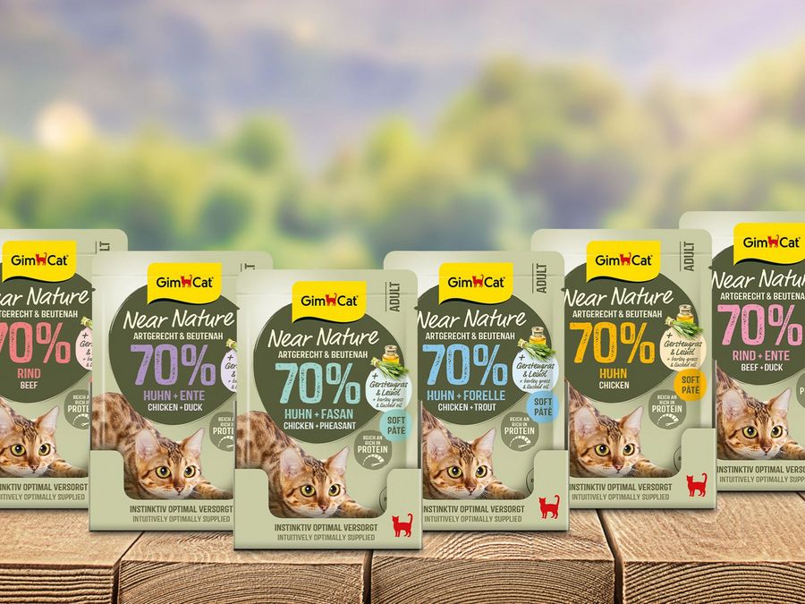 Von Emmerich in die Welt Von Emmerich in die Welt