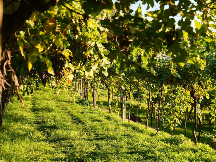 Gemeinschaft als Erfolgsmodell Gemeinschaft als Erfolgsmodell