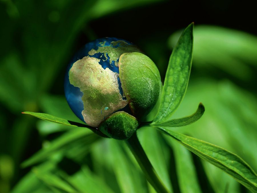 Effiziente und nachhaltige Textillösungen Effiziente und nachhaltige Textillösungen