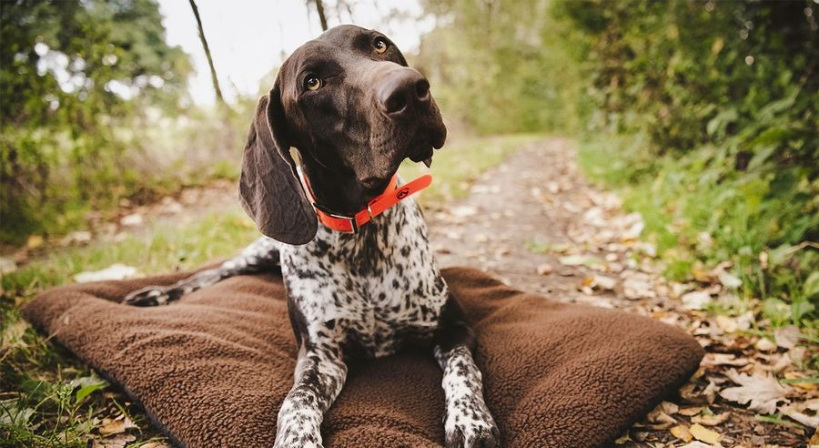 Huntivity Group GmbH Ausrüstung Huntivity Group GmbH Ausrüstung